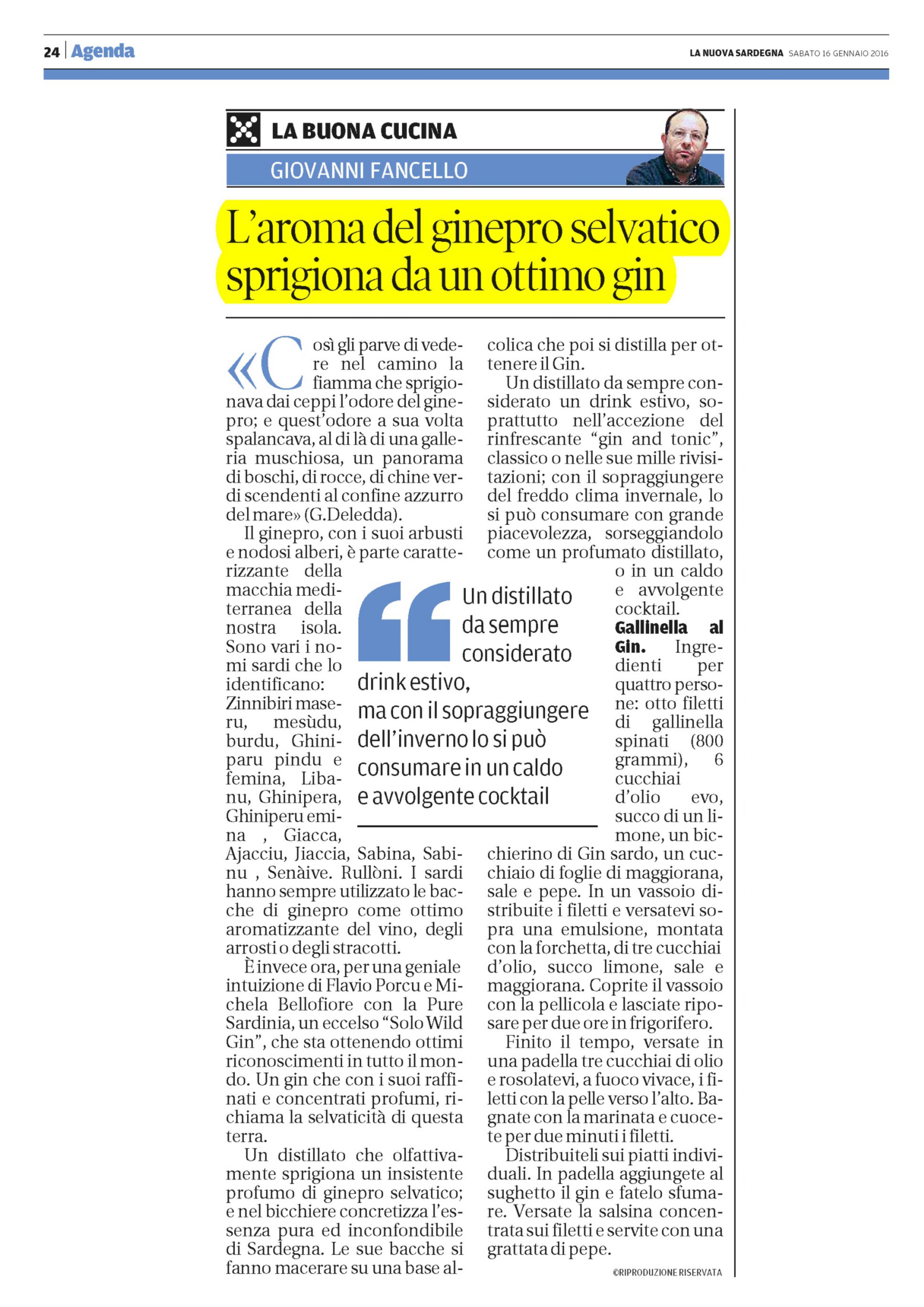 articolo-nuova-sardegna-pure-sardinia